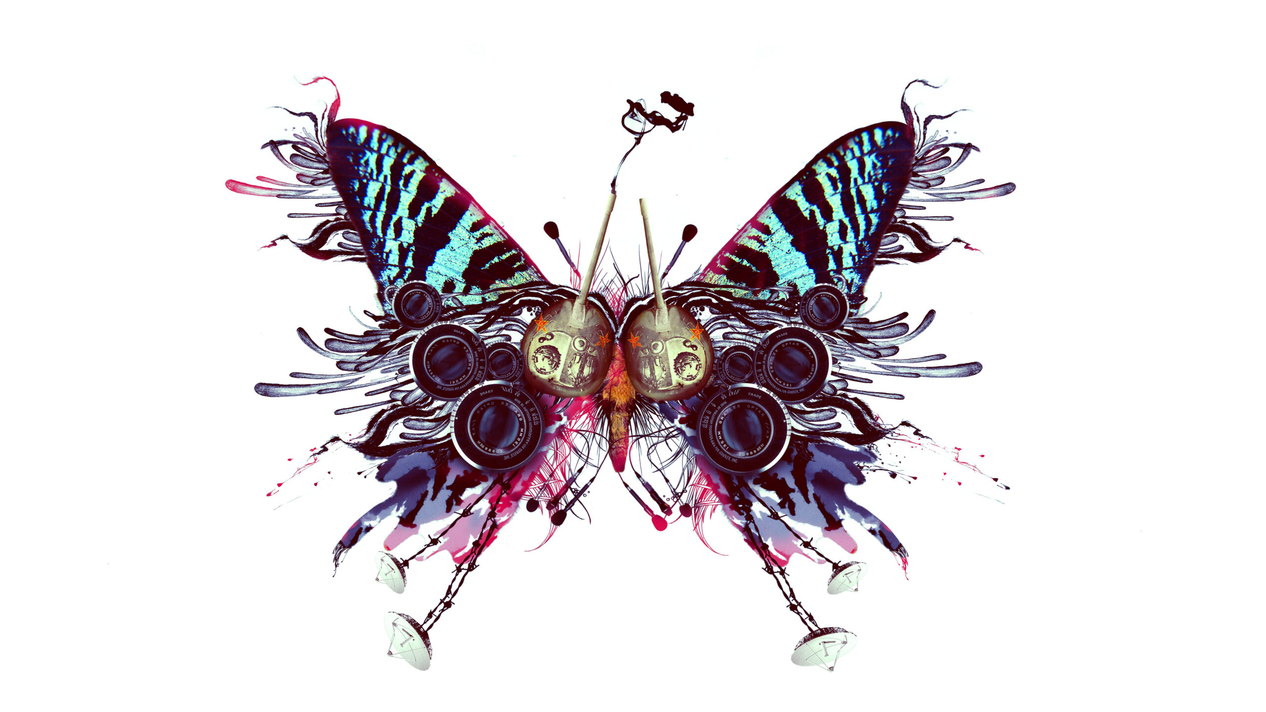 A1_BUTTERFLY_AB_012_44