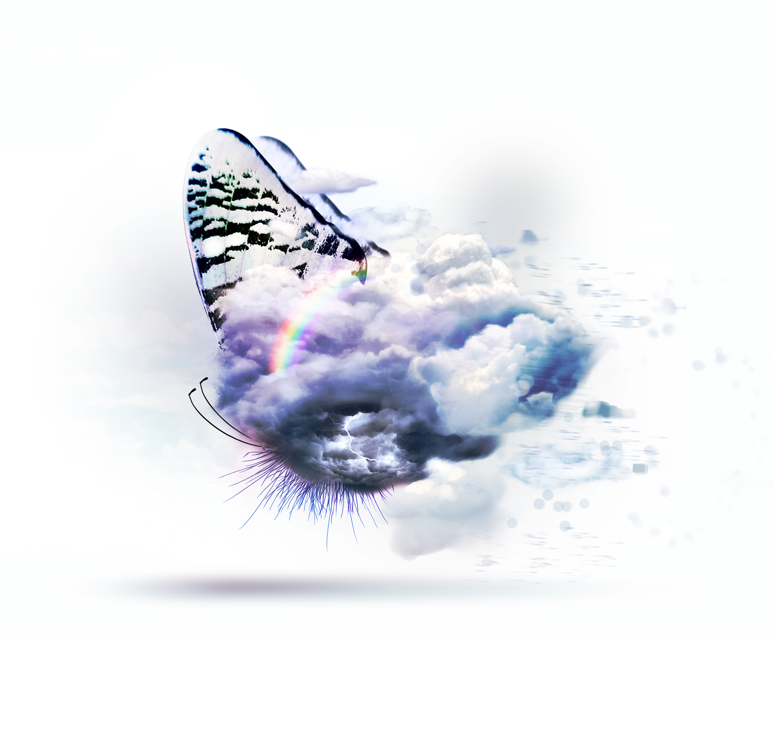 A003_BUTTERFLY_SC_004