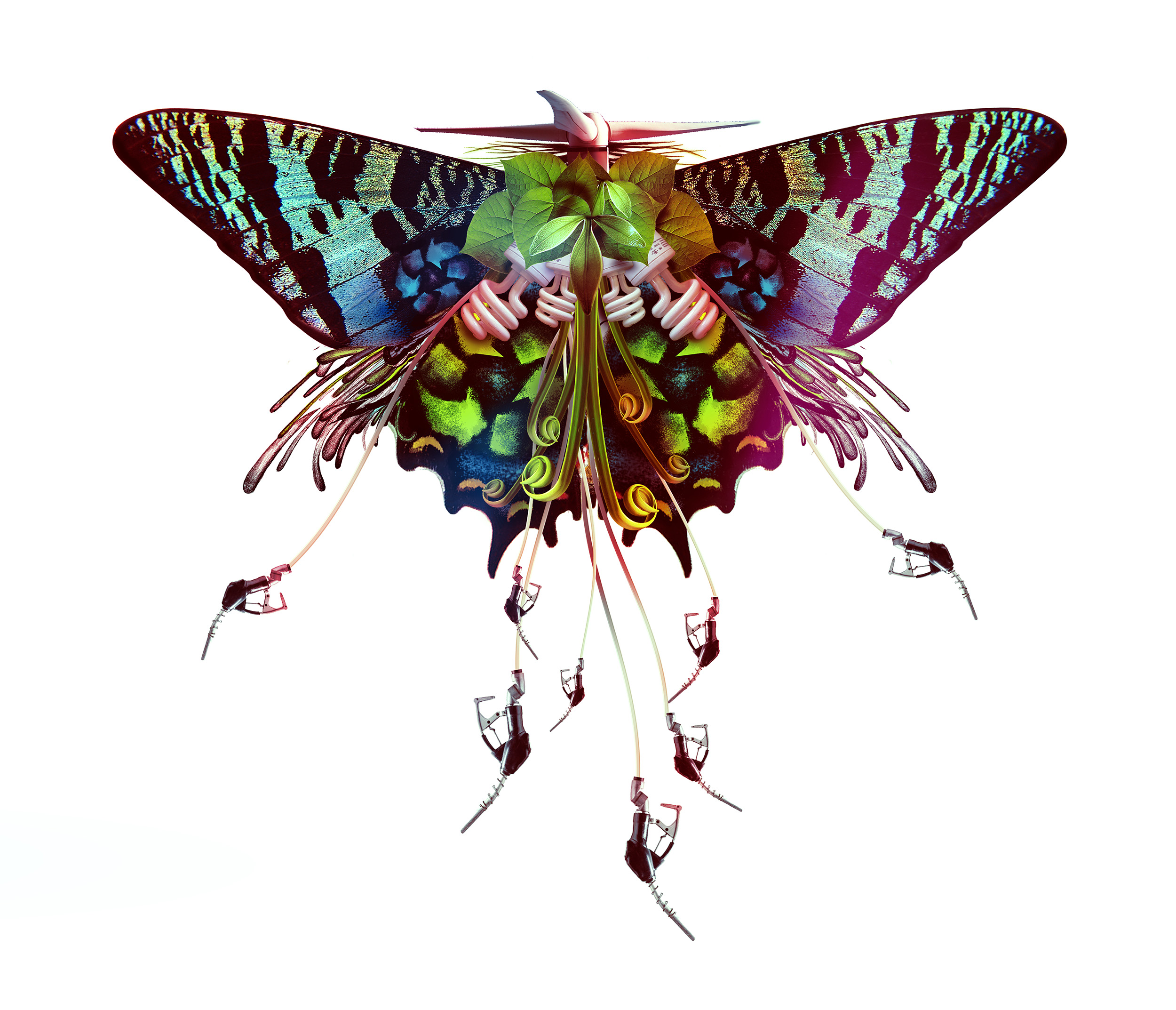 A006_BUTTERFLY_CONCEPT_AB_007