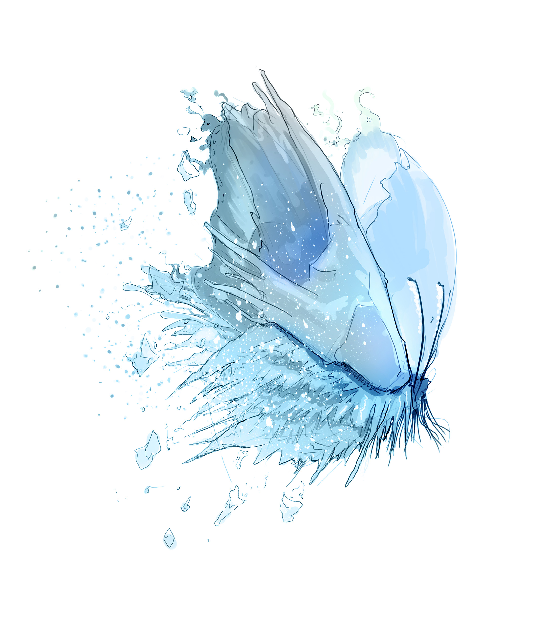 FROZEN-ASSETS__BUTTERFLY_SCSD23234_006