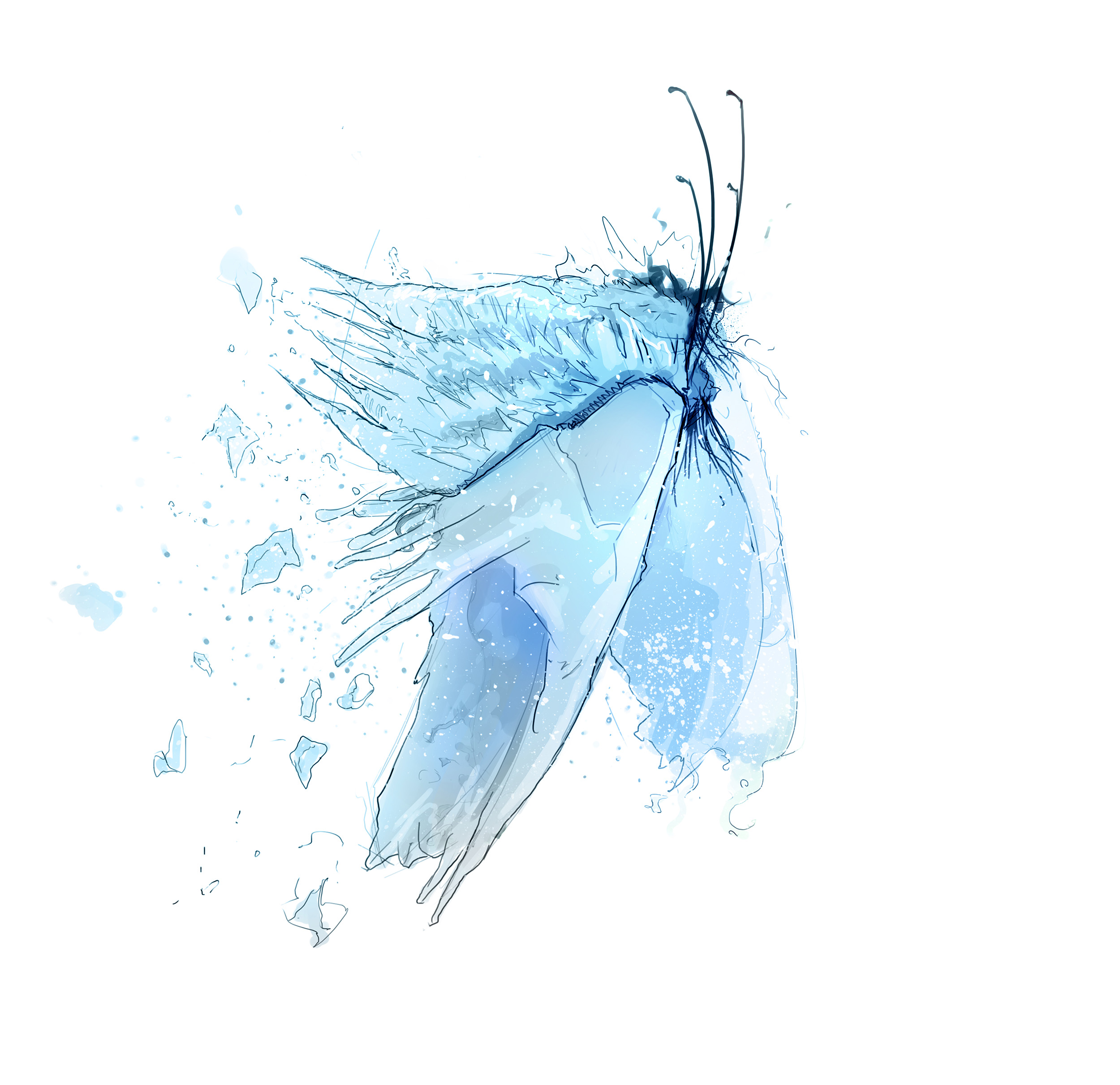 FROZEN-ASSETS__BUTTERFLY_SCSD2SDFDS3234_006