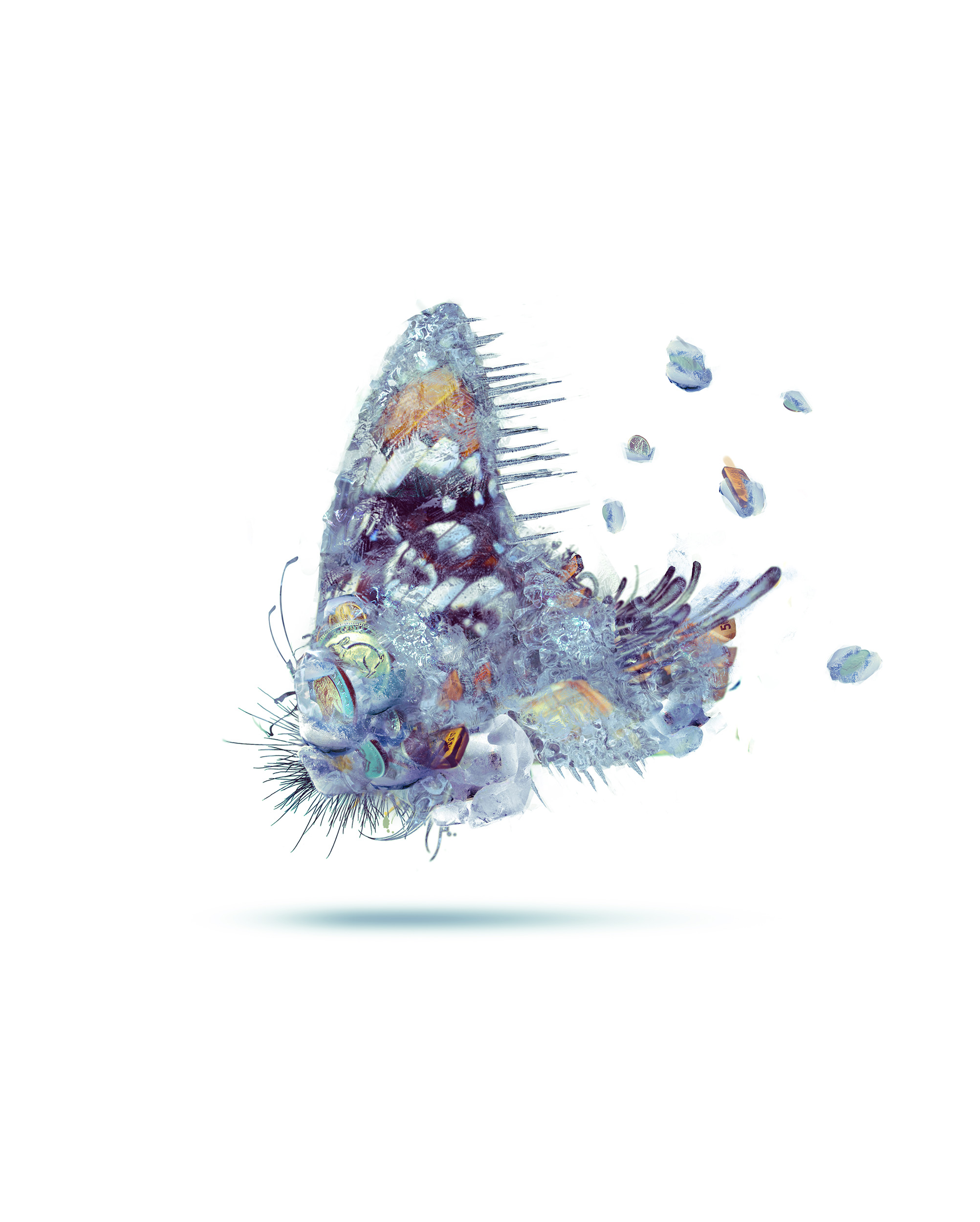 FROZEN-ASSETS__BUTTERFLY_SC_006