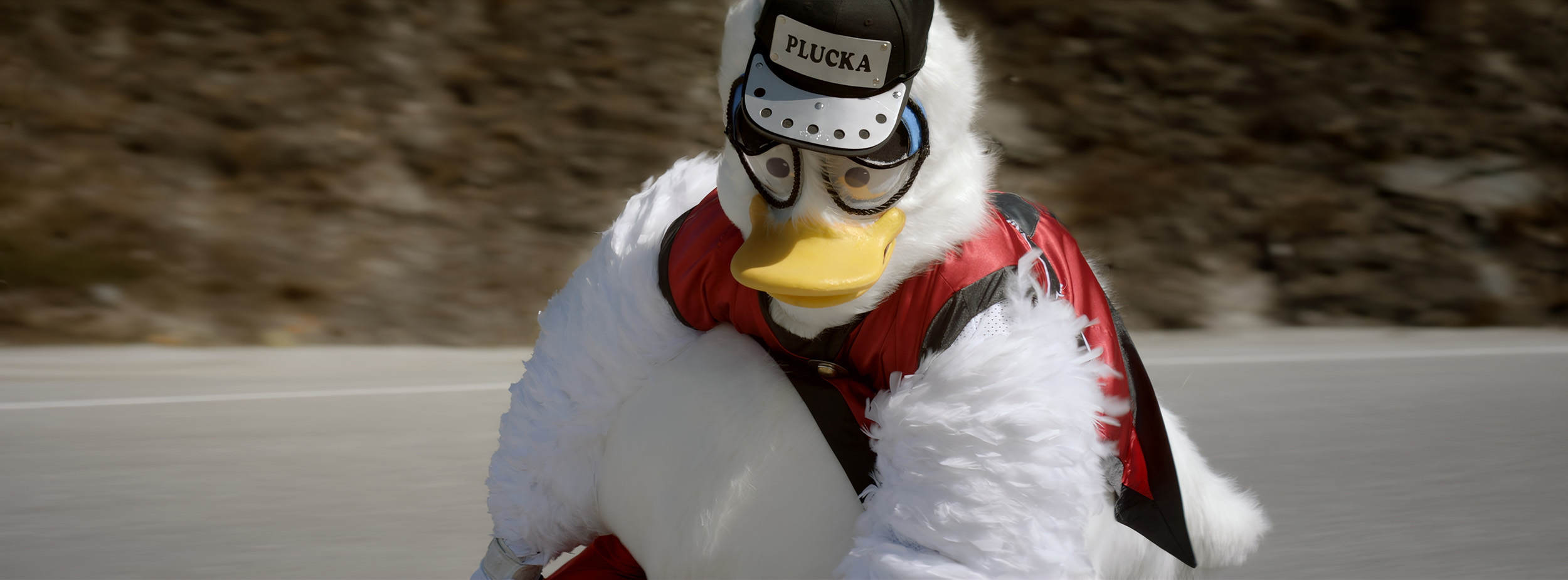 KFC ‘PLUCKA’   (10)