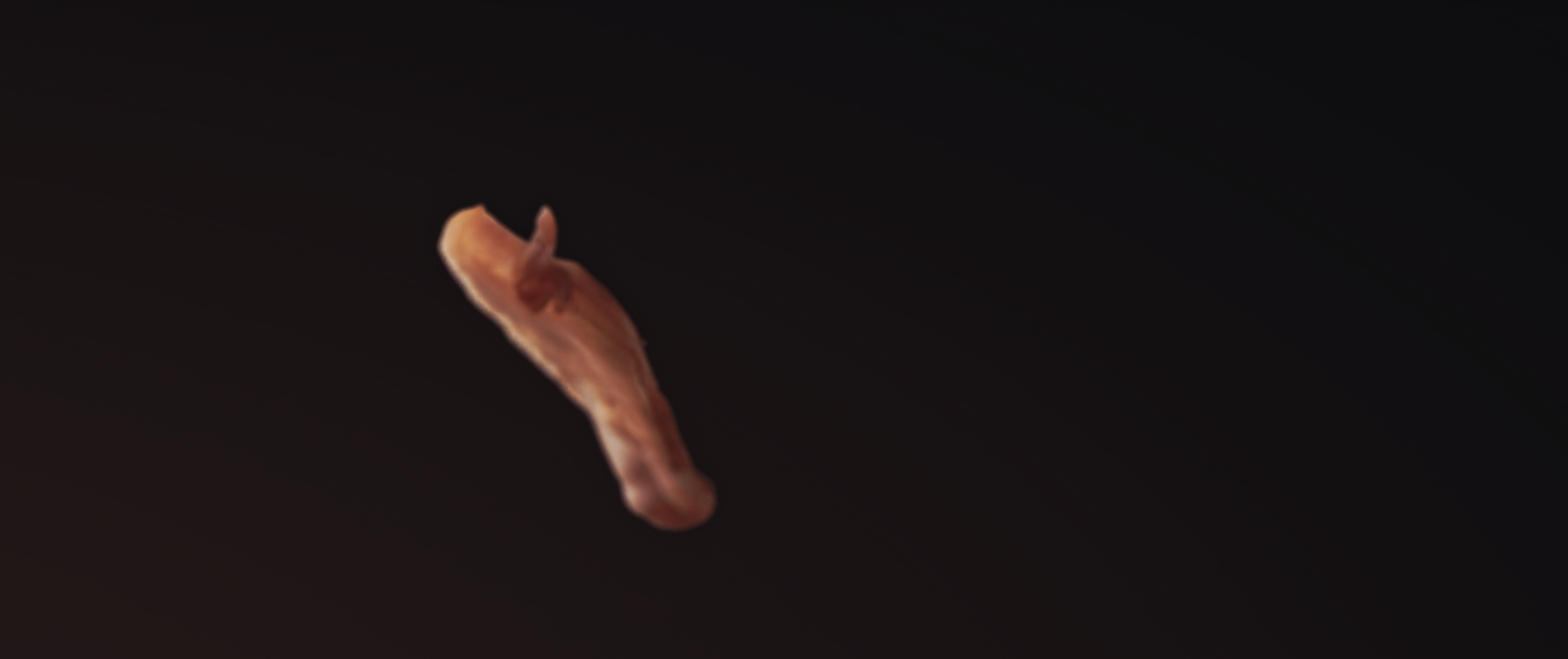 PRIMO – GOOD-MORNING-BACON__ (2)