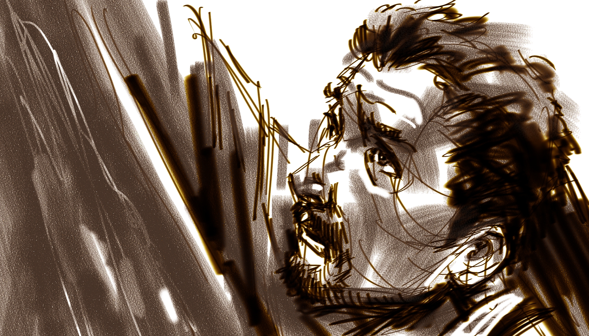 frame_2a